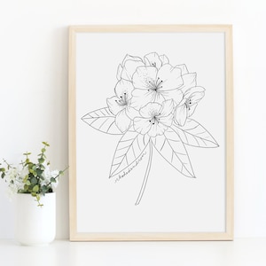 Rhododendren Drawing Art Print / Floral Art / Botonical Print / Black and White Flower Drawing / Botanical Illustration Wall Art image 1