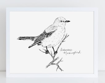 Arkansas Mockingbird State Bird Art Print /  Arkansas Decor / Mockingbird Drawing / Arkansas Gift / Black and White Bird Drawing