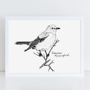 Arkansas Mockingbird State Bird Art Print /  Arkansas Decor / Mockingbird Drawing / Arkansas Gift / Black and White Bird Drawing