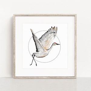 Flying Sandhill Crane Art Print / Crane Wall Art / Crane Gift / Bird Gift / Bird Home Decor /Flying Bird / Bird Art / Crane Drawing