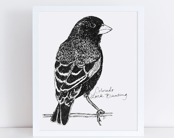 Colorado Lark Bunting State Bird Art Print / Colorado Decor / Lark Bunting Drawing / Colorado Gift / Black and White Bird Drawing