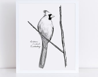 Kentucky Northern Cardinal State Bird Art Print /  Kentucky Decor / Cardinal Drawing / Kentucky Gift / Black and White Bird Drawing