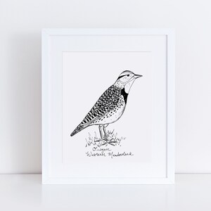 Oregon Meadowlark State Bird Art Print /  Oregon Decor / Meadowlark Drawing / Oregon Gift / Black and White Bird Drawing / Pacific Northwest