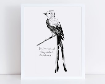 オクラホマ州の鳥、シザーテイルフライキャッチャーのアート