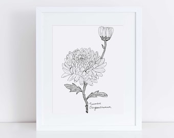 November Chrysanthemum Art Print / Birth Flower Art / Chrysanthemum Art Print / November Birthday Gift / Botanical Wall Art