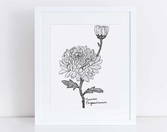 November Chrysanthemum Art Print / Birth Flower Art / Chrysanthemum Art Print / November Birthday Gift / Botanical Wall Art