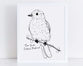 New York Eastern Blue Bird State Bird Art Print /  New York Decor / Bluebird Drawing / New York Gift / Black and White Bird Drawing