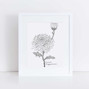 November Chrysanthemum Art Print / Birth Flower Art / Chrysanthemum Art Print / November Birthday Gift / Botanical Wall Art