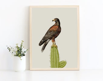 Harris Hawk and Cactus Art Print Art Print / Desert Art / Bird Wall Art / Animal Art / Bird of Prey Art Print