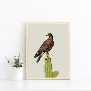 Impression d'art Harris Hawk et cactus Impression d'art / Art du désert / Art mural oiseau / Art animalier / Impression d'art oiseau de proie