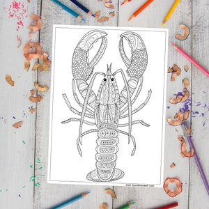 Lobster Coloring Page for Adults and Kids / Lobster Coloring Sheet / Lobster Doodle / Ocean Life Coloring Page / Doodle Coloring Sheet image 1