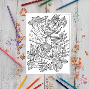 Toucan Coloring Sheet for Adults and Kids / Printable Coloring Page / Downloadable Colouring Sheet / Tropical Birds / Instant Download image 1