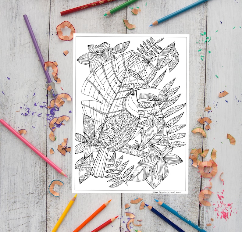 Toucan Coloring Sheet for Adults and Kids / Printable Coloring Page / Downloadable Colouring Sheet / Tropical Birds / Instant Download image 1