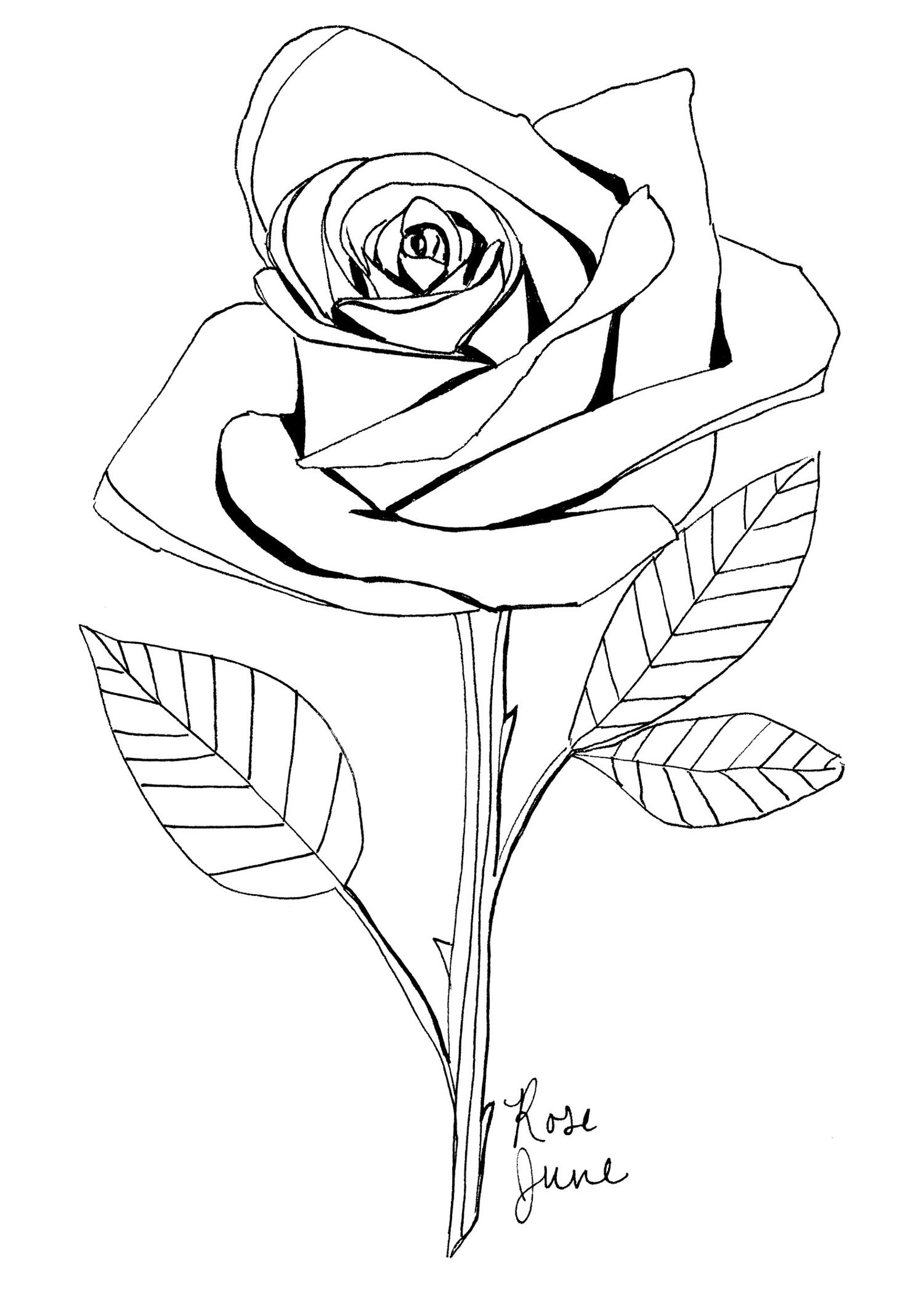 June Birth Flower Art Print / Black and White Rose Drawing / Etsy