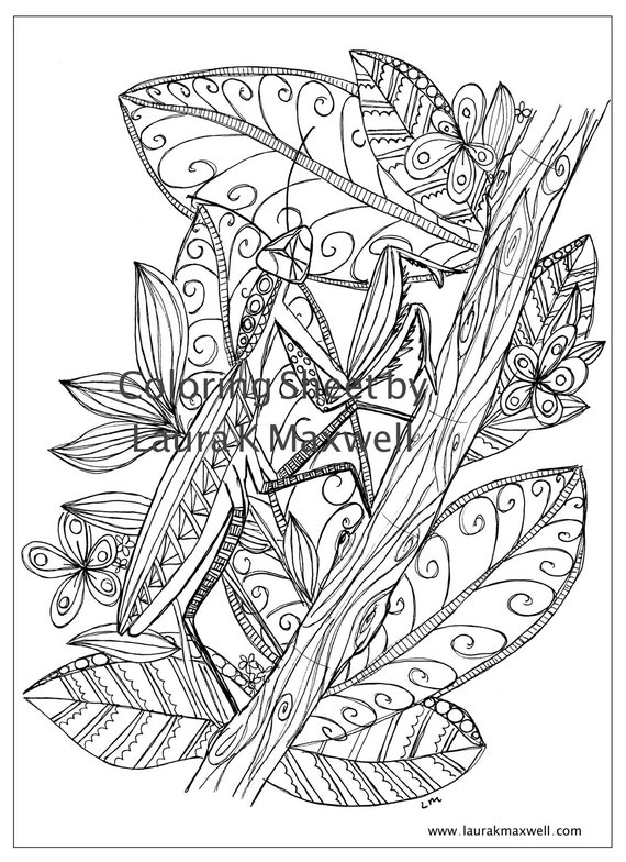 Praying Mantis Coloring Sheet For Adults And Kids Instant Etsy