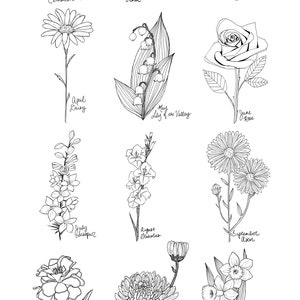 May include: A black and white line drawing illustration of birth flowers for each month of the year. January is the carnation, February is the violet, March is the daffodil, April is the daisy, May is the lily of the valley, June is the rose, July is the larkspur, August is the gladiolus, September is the aster, October is the marigold, November is the chrysanthemum, and December is the narcissus.