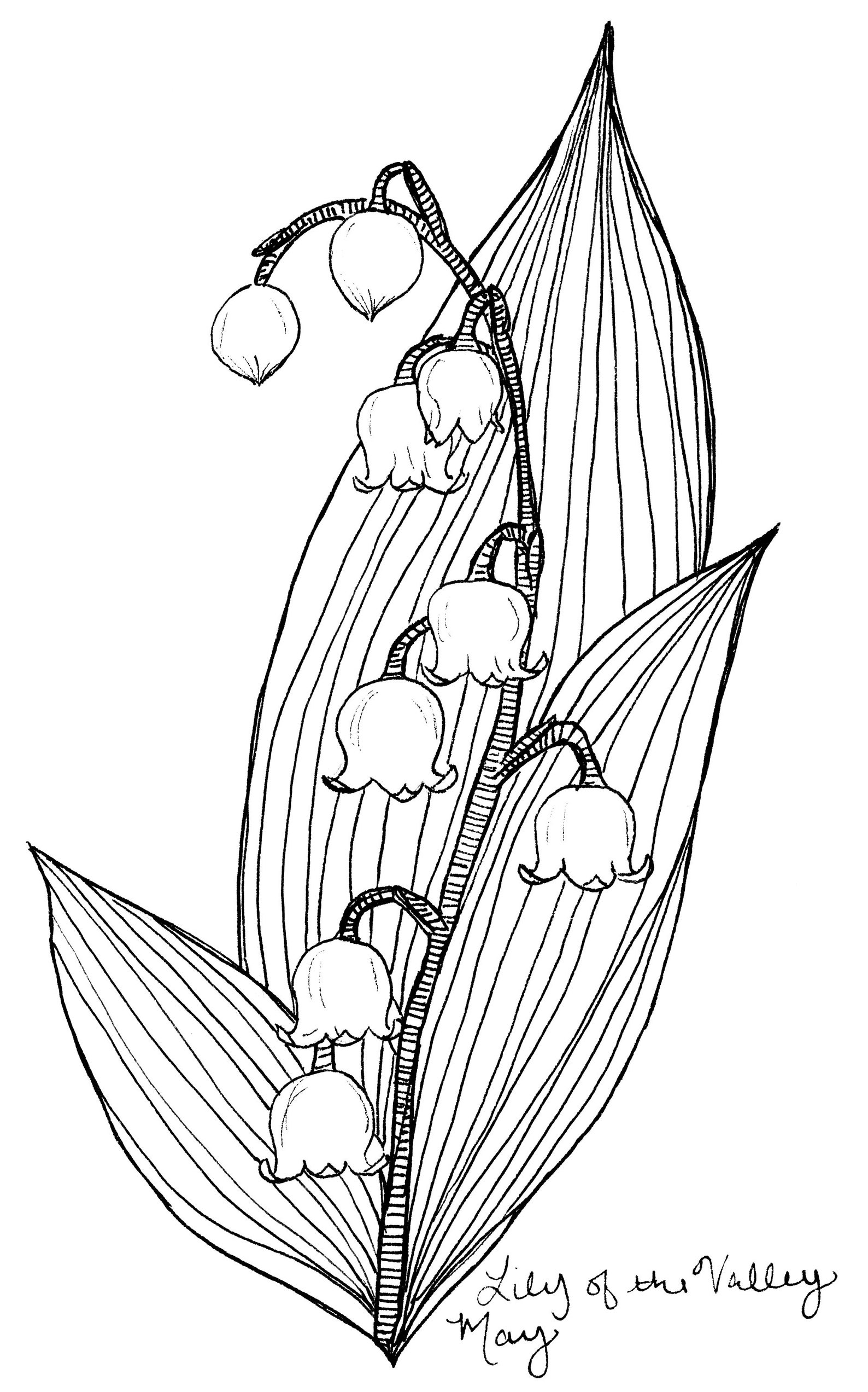 Lily of the Valley May Birth Flower Art Print / Black and Etsy