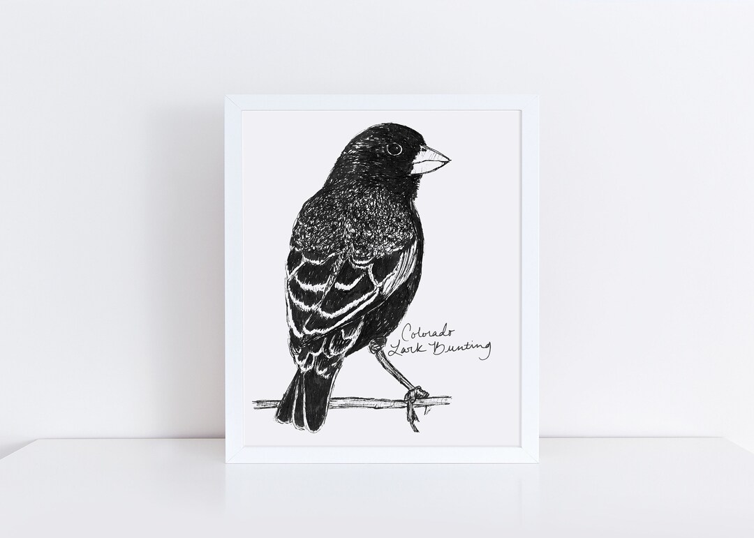 L Oiseau Du Colorado Poésie A Imprimer Colorado Lark Bunting State Bird Art Print / Colorado Decor / - Etsy France