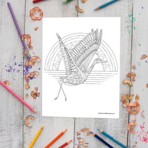 Flying Sandhill Crane Coloring Sheet for Adults and Kids / Printable ...