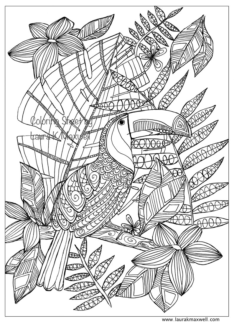 Toucan Coloring Sheet for Adults and Kids / Printable Coloring Page / Downloadable Colouring Sheet / Tropical Birds / Instant Download image 2