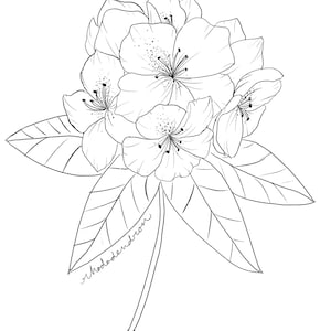 Rhododendren Drawing Art Print / Floral Art / Botonical Print / Black and White Flower Drawing / Botanical Illustration Wall Art image 4