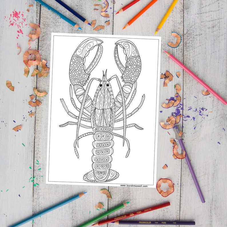 Lobster Coloring Page for Adults and Kids / Lobster Coloring Sheet / Lobster Doodle / Ocean Life Coloring Page / Doodle Coloring Sheet image 1