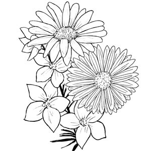 May include: A black and white line drawing of a bouquet of flowers. The bouquet includes three large flowers with multiple petals and three smaller flowers with five petals.