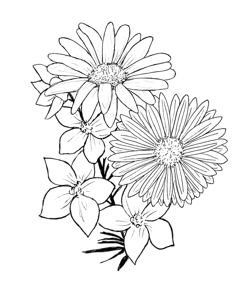 May include: A black and white line drawing of a bouquet of flowers. The bouquet includes three large flowers with multiple petals and three smaller flowers with five petals.