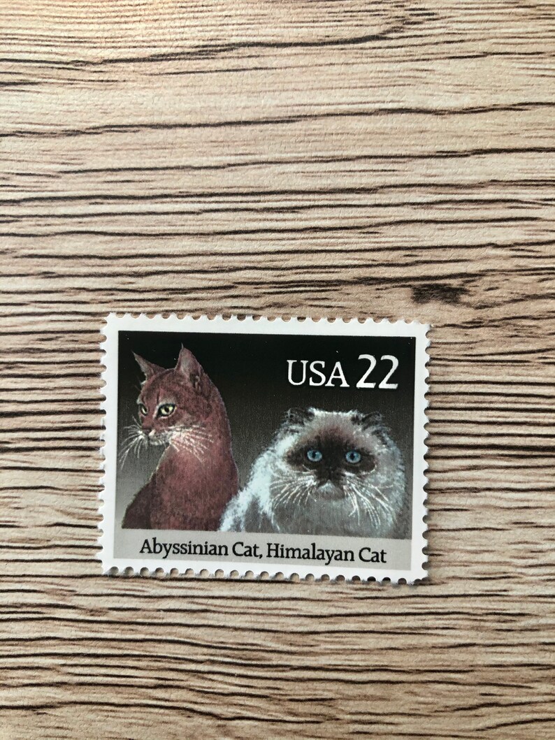 Set of four 22Cent USPS cat stamps featuring popular breeds Etsy
