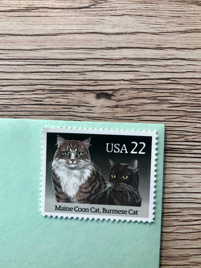 Set of four 22Cent USPS cat stamps featuring popular breeds Etsy