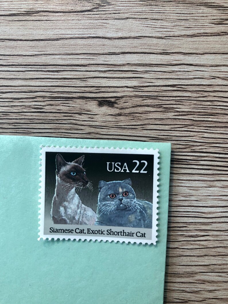 Set of four 22Cent USPS cat stamps featuring popular breeds Etsy