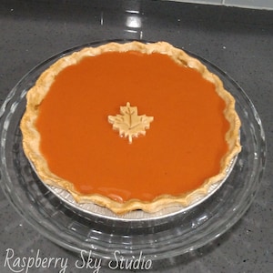 Fake 9&quot; Pumpkin Pie, Faux Pumpkin Pie, Fake Pie, Fake Food, Prop Food, Decorative Food