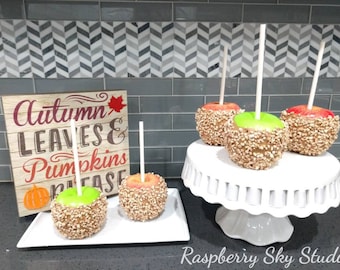 Fake Caramel Apples, Caramel Apple with Nuts, Fake Candy Apple, Carnival Food, Fake Food, Prop Food, Decorative Food