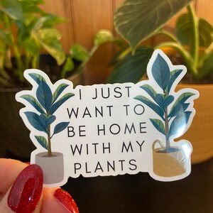 Plant Sticker | Water Bottle Sticker | Laptop Sticker | Kindle Sticker | Funny Sticker | Sarcastic Stickers | Cute Bumper Sticker