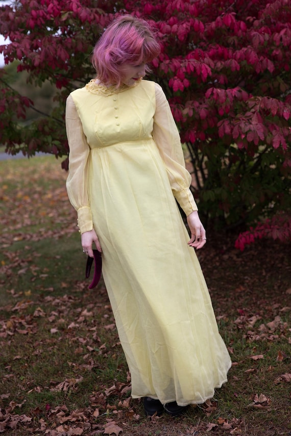 empire waist maxi dress with sleeves