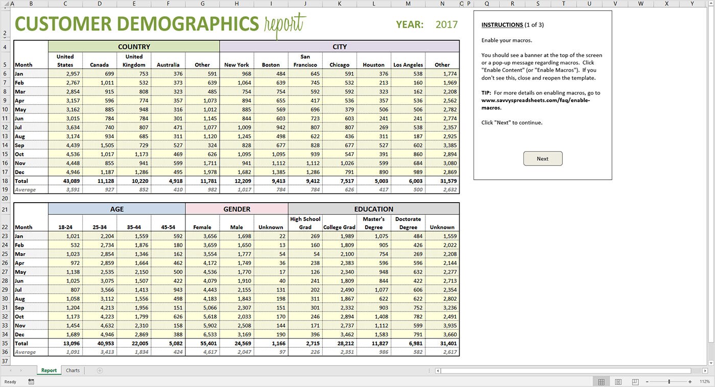 Customer Demographics Report Excel Template Printable Etsy Australia