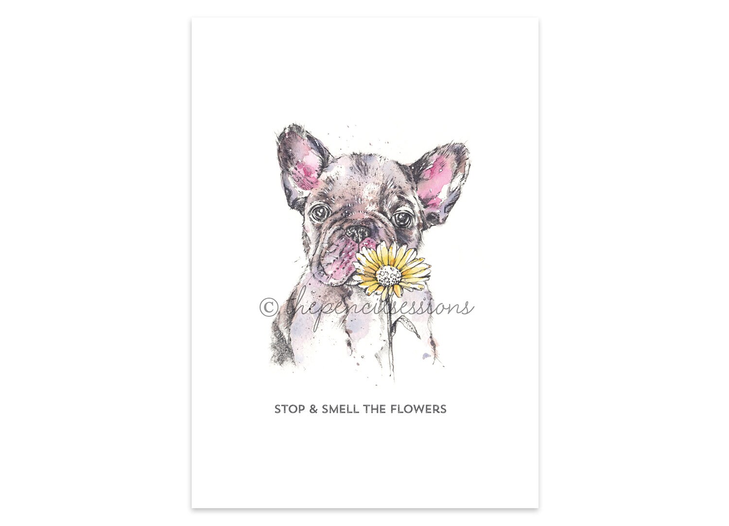 Frenchie 'Flower' COLOUR A4 print French Bulldog Etsy