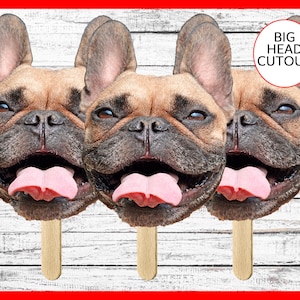 Recortes de cabeza grande Mascota Perro Gato Decoración de fiesta de cumpleaños Cabeza gorda Recorte de cara Despedida de soltera Bienvenido a casa Abanico de cara Recuerdos de fiesta divertidos Palo de fotos