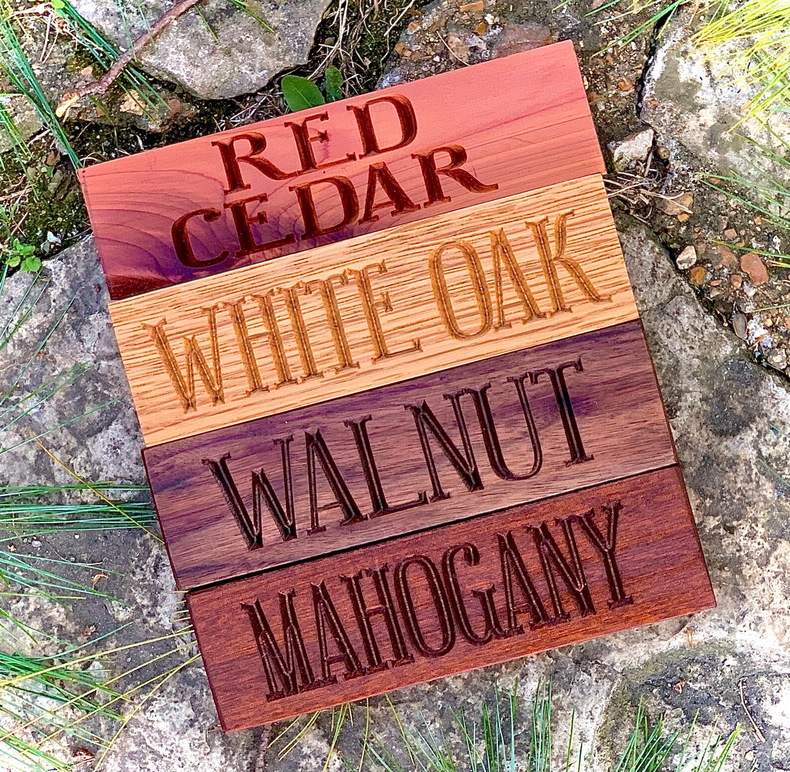 Custom Palm Tree Sign Custom Cabana Signs Poolside Cabana Sign Etsy