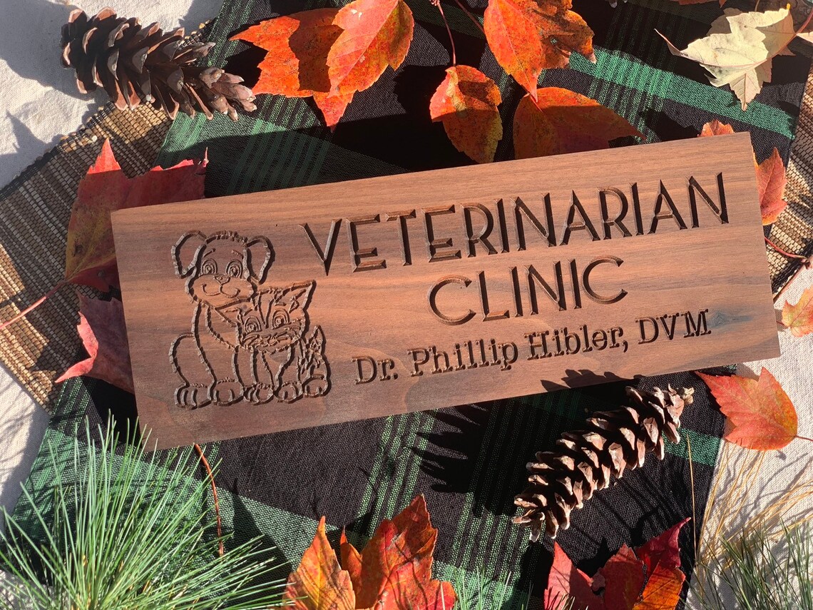 Vet Gifts Wood Plaque for Veterinarian Gift Animal Vet Degree Etsy