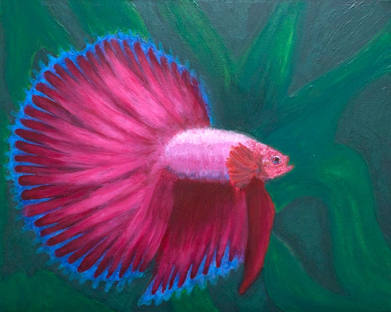 Puede incluir: Un pez betta rosa con una larga aleta caudal que fluye, pintado sobre un fondo verde oscuro. La aleta caudal del pez es de un rosa vibrante con bordes azules.