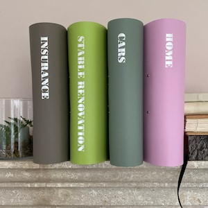 Op de afbeelding: Vier ordners met labels: "INSURANCE", "STABLE RENOVATION", "CARS" en "HOME". De ordners zijn in tinten grijs, groen en roze.