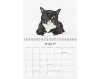 Könnte beinhalten: Ein Wandkalender mit Spiralbindung, der eine schwarz-weiße Katze zeigt. Der Kalender ist auf Januar geöffnet, mit dem Monatsnamen in fetter Schrift. Die Katze liegt, die Pfoten unter ihrem Körper.