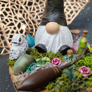 Diorama gnome sorcier image 3