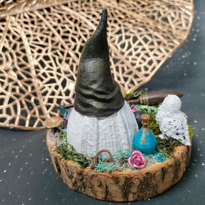 Diorama gnome sorcier image 2