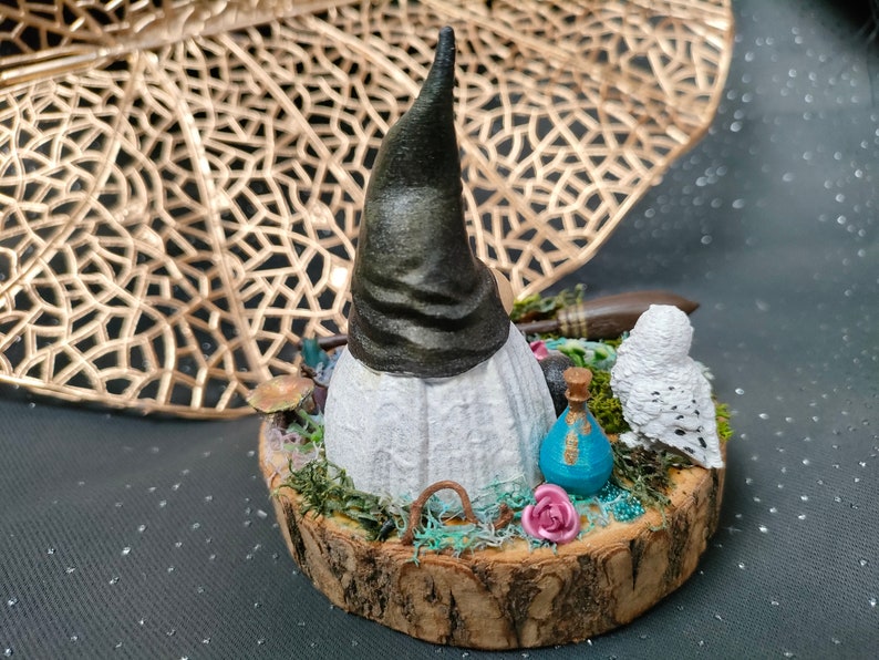 Diorama gnome sorcier image 2