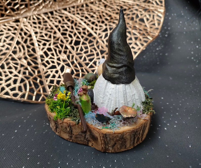 Diorama gnome sorcier image 5