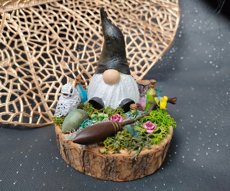 Diorama gnome sorcier image 1