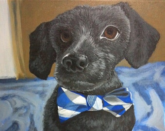 Pet Portraits custom Paintings in Acrylics- cats, dogs, birds, rabbits, and more