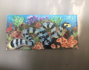 Banded sea krait (snake) mini painting